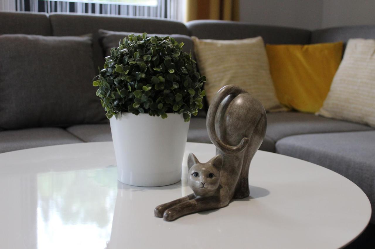 Apartamenty Swistak Maciej Dunajczan Bukowina Tatrzańska Exteriör bild